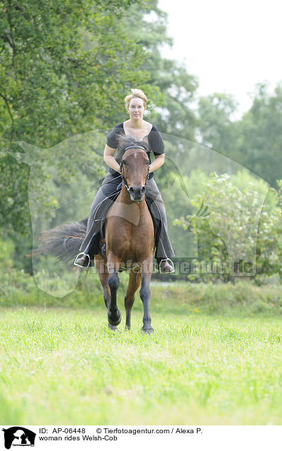 woman rides Welsh-Cob / AP-06448