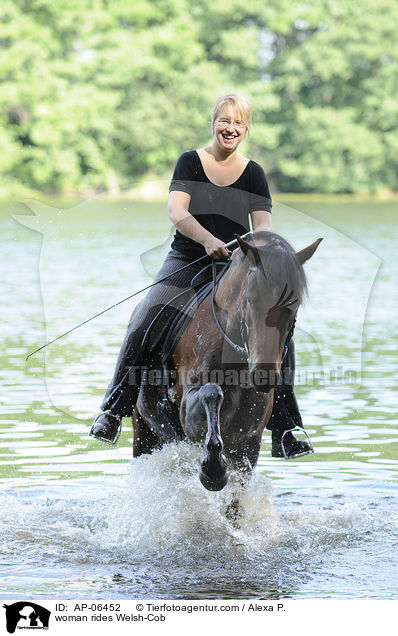 woman rides Welsh-Cob / AP-06452