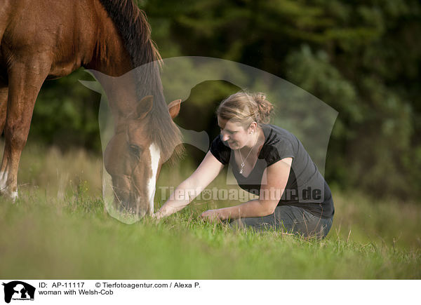 woman with Welsh-Cob / AP-11117