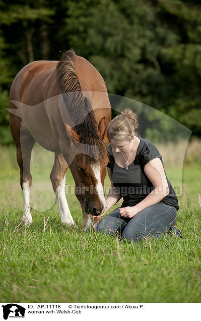 woman with Welsh-Cob / AP-11118
