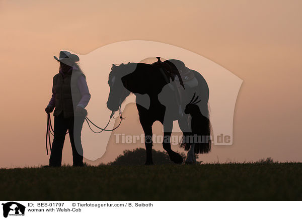 woman with Welsh-Cob / BES-01797