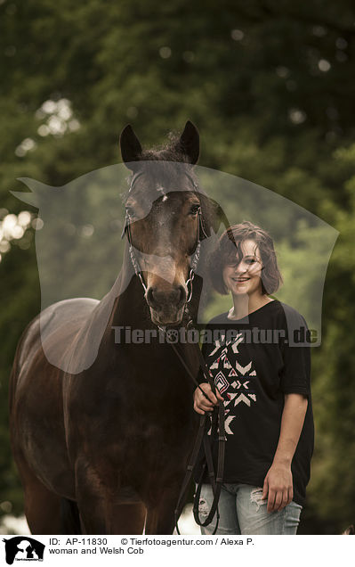 woman and Welsh Cob / AP-11830