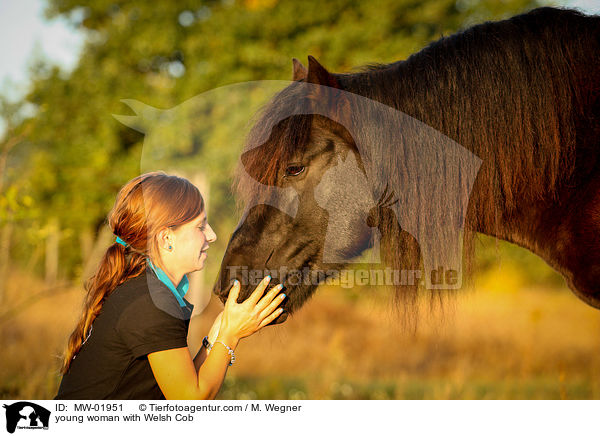 young woman with Welsh Cob / MW-01951