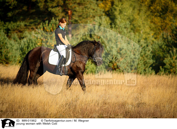 young woman with Welsh Cob / MW-01962