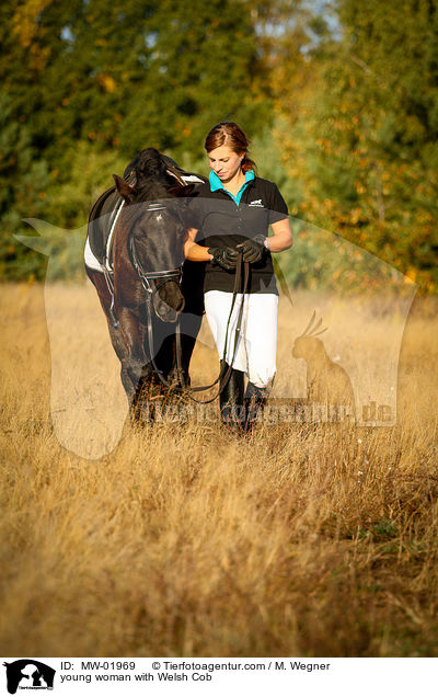 young woman with Welsh Cob / MW-01969