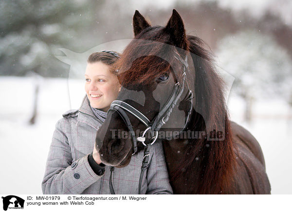 young woman with Welsh Cob / MW-01979