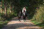 woman rides Welsh-Cob D
