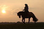 woman rides Welsh-Cob