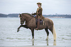 woman and Welsh Cob