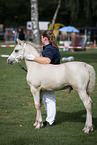 Welsh Cob