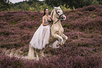 Welsh Cob
