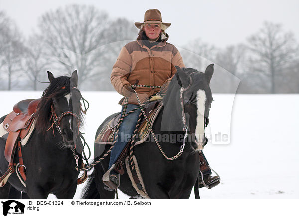 Westernreiten / riding / BES-01324