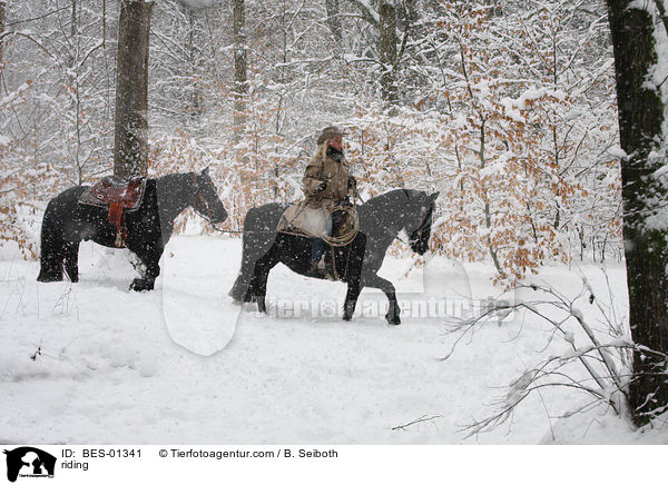 Westernreiten / riding / BES-01341