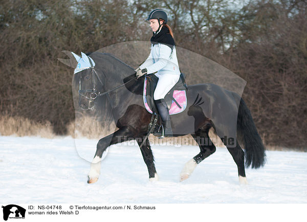 woman rides Welsh D / NS-04748