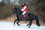 woman rides Welsh D