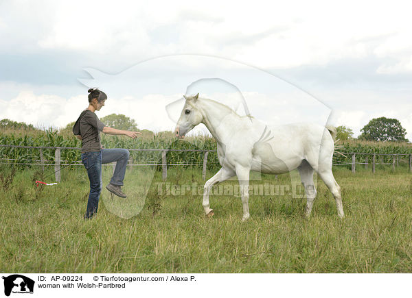 woman with Welsh-Partbred / AP-09224