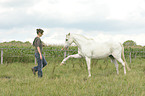 woman with Welsh-Partbred