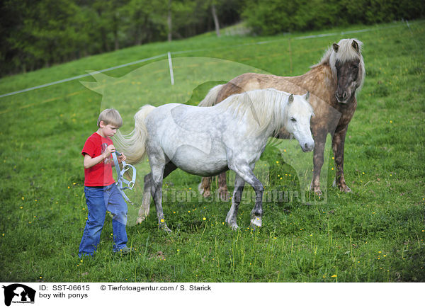 Junge und Ponys / boy with ponys / SST-06615