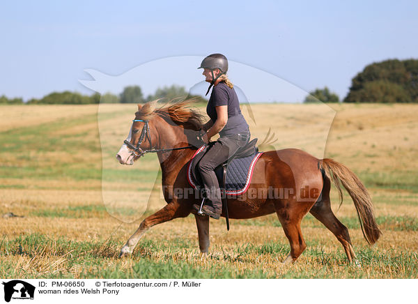 woman rides Welsh Pony / PM-06650