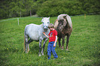 boy with ponys