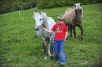 boy with ponys