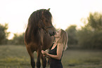 Welsh Pony