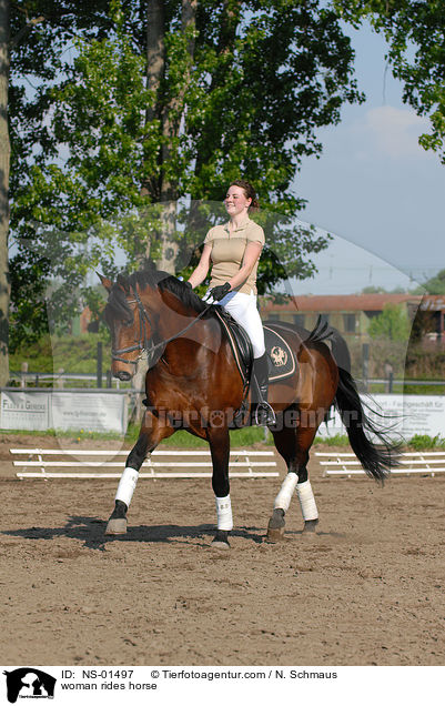 Frau reitet Westfale / woman rides horse / NS-01497