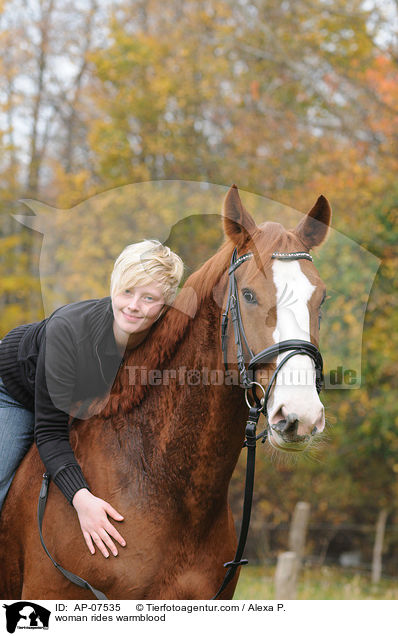 Frau reitet Westfale / woman rides warmblood / AP-07535