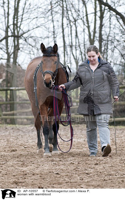 Frau mit Westfale / woman with warmblood / AP-10557