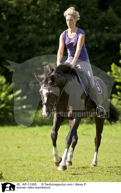 woman rides warmblood / AP-11265