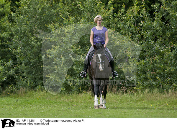woman rides warmblood / AP-11281