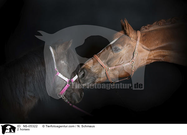 2 Pferde / 2 horses / NS-05322