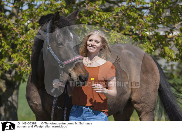 woman and Westphalian warmblood / NS-06388