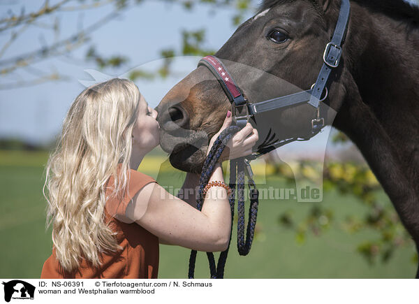 Frau und Westfale / woman and Westphalian warmblood / NS-06391
