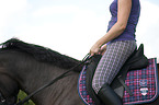 woman rides warmblood