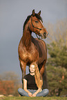 Westphalian mare