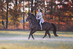 Westphalian mare