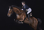 Westphalian mare