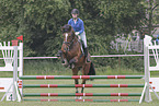 Westphalian mare