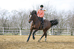 Westphalian mare