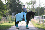 Westphalian mare
