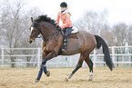 Westphalian mare