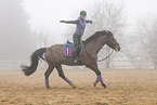 Westphalian mare