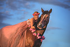 Westphalian horse