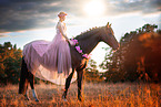 Westphalian horse