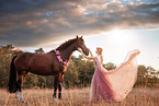 Westphalian horse