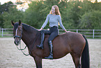 Westphalian horse