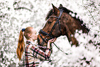 Westphalian horse