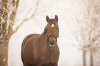 Westphalian
