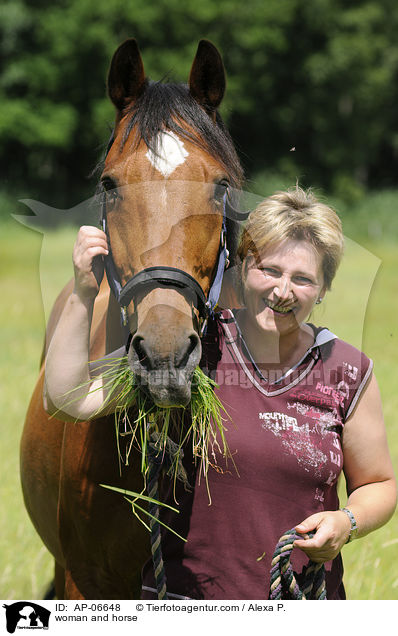 Frau und Baden-Wrttemberger / woman and horse / AP-06648